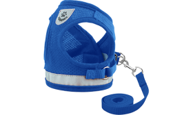 Modrý polstrovaný reflexní postroj pro kočku s vodítkem, stříbrným D-kroužkem, lehký a nastavitelný i pro známku pro kočku.