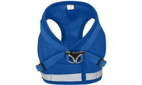 Zadní pohled na modrý reflexní postroj pro kočku se stříbrnými D-kroužky, bezpečnostní sponou a polstrovaným nylonem.