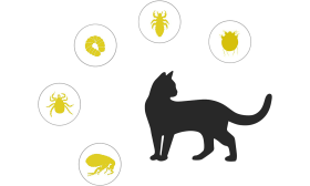 Přírodní antiparazitní obojek pro kočku s ochranou na 8 měsíců proti blechám a klíšťatům, vyrobený z esenciálních olejů.